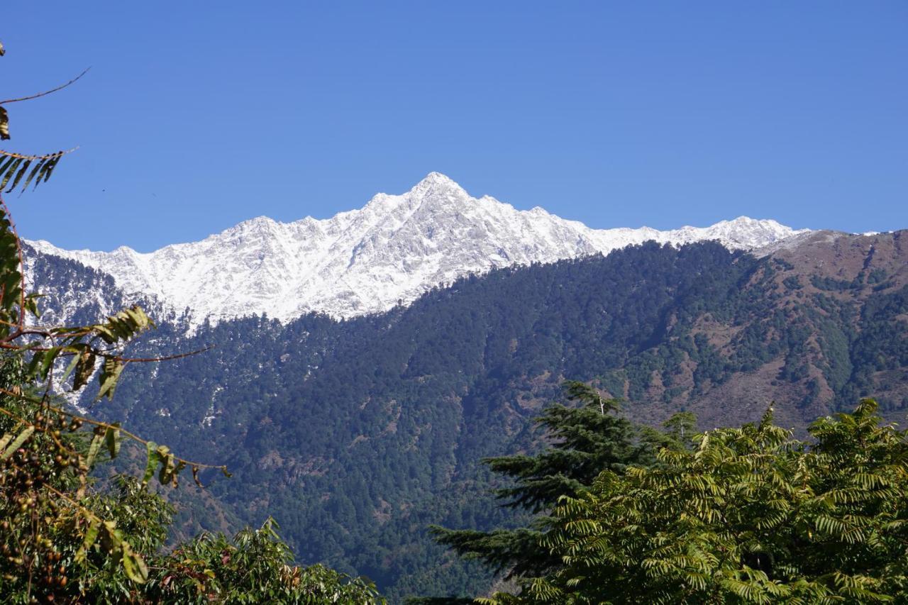 Hotel Ram Yoga House McLeod Ganj Exterior foto