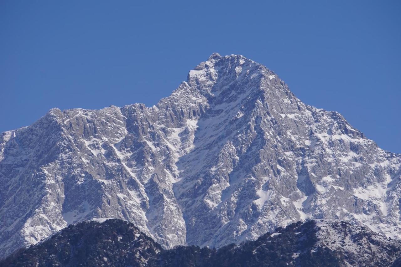 Hotel Ram Yoga House McLeod Ganj Exterior foto