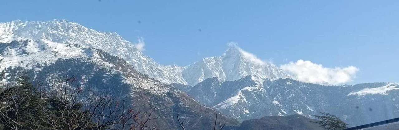 Hotel Ram Yoga House McLeod Ganj Exterior foto